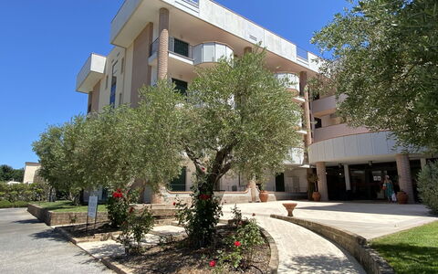 San Vincenzo 651: Plante, Bygning, Himmel, Ejendom, Daytime, Vindue, Træ, Arkitektur, Urban Design, Skygge