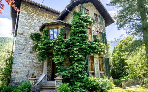 Villa Biino: Plante, Himmel, Bygning, Ejendom, Vindue, Grøn, Træ, Dør, Vegetationen, Land Lot