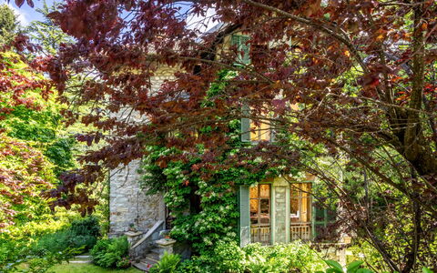 Villa Biino: Plante, Ejendom, Vindue, Naturlige Landskab, Træ, Kvist, Bagagerum, Græs, Løvtræ