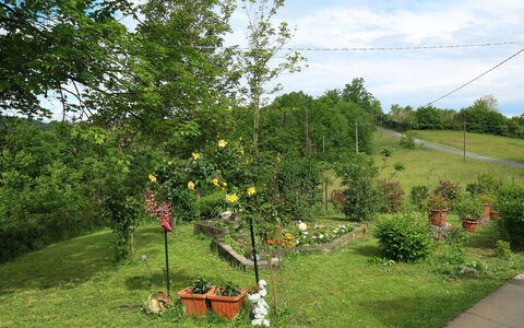 Il Cavaliere: Træ, Plante, Vedplante, Land Lot, Græs, Have, Forår, Landdistrikt, Busk, Eng