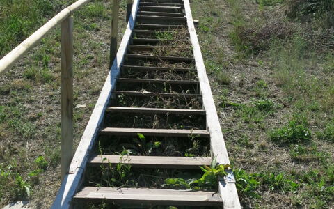 Roseto degli Abruzzi 620: Trappe, Walkway, Græs, Træ, Boardwalk, Plantesamfund, Plante, Nonbuilding Struktur
