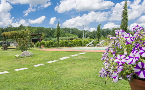 Daussiè: Have, Græs, Daytime, Himmel, Lawn, Blomst, Plante, Botanik, Forår, Træ