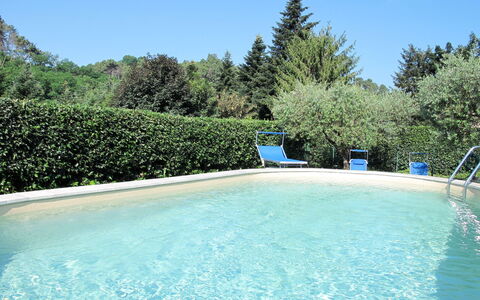 Camaiore 634