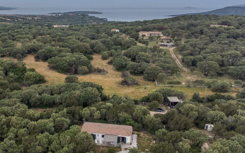 Stazzu Mendola: Himmel, Plante, Plantesamfund, Økoregion, Naturlige Landskab, Træ, Vegetationen, Land Lot, Hus, Biome