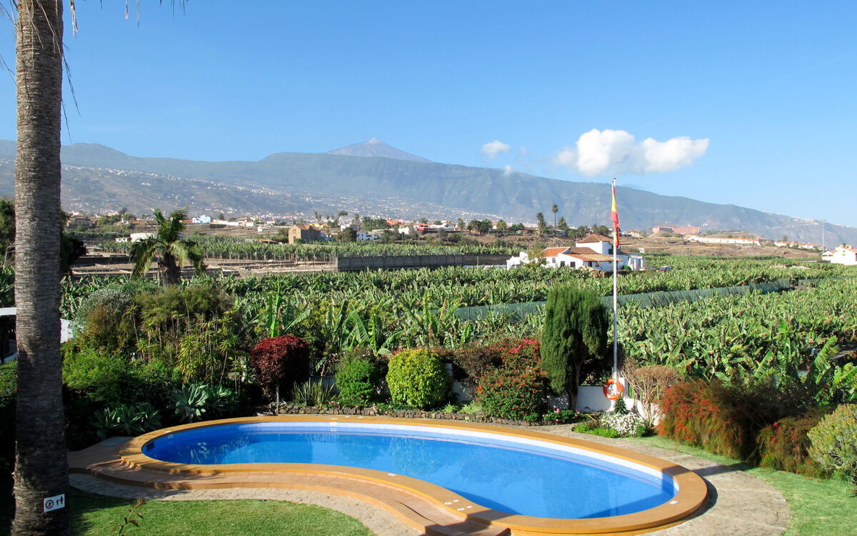 Puerto De La Cruz 603
