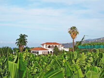 Puerto De La Cruz 603