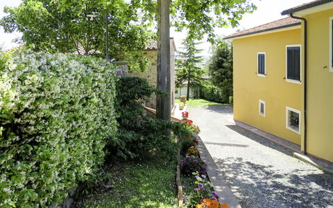 Pastina 649: Ejendom, Grøn, Hus, Gul, Ejendom, Vegetationen, Boligområde, Hjem, Træ, Bygning