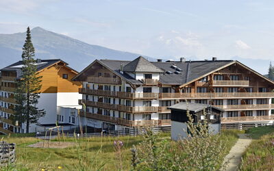 Feriebolig:&nbsp;Alpenhaus Katschberg 644.3