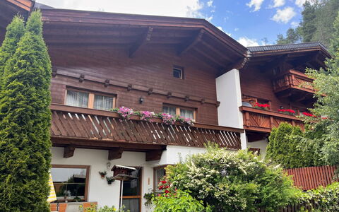 Beate: Plante, Sky, Bygning, Himmel, Ejendom, Vindue, Botanik, Hus, Vegetationen, Arkitektur