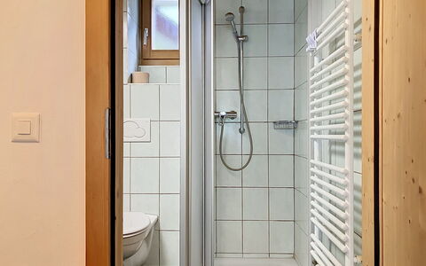 Les Cimes: Træ, Gulvbelægning, Etage, Indretning, Værelse, Sanitærarmatur, Dør, Badeværelse, Loft, Lejlighed