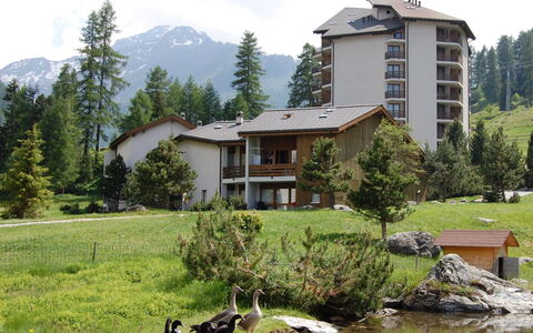 Siviez-Nendaz 649: Naturlige Landskab, Ejendom, Hus, Hill Station, Bjerg, Ødemark, Ejendom, Hjem, Træ, Estate