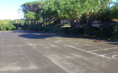 Juncades