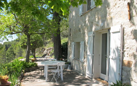 Le Cabanon: Vegetationen, Busk, Forår, Sommerhus, Have, Skygge, Backyard, Gård, Stol
