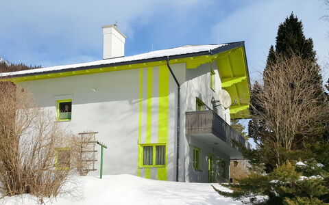 Viola: Sky, Plante, Himmel, Bygning, Ejendom, Vindue, Træ, Hus, Hældning, Sne