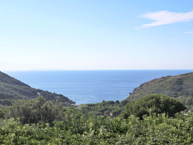 Nisportino 601