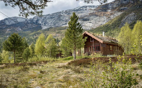 Myravatnet: Hus, Græs, Træ, Naturlige Landskab, Hjem, Sommerhus, Hytte, Landskab, Bjerg