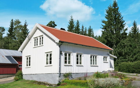 Øygårdsheia: Plante, Himmel, Sky, Bygning, Vindue, Træ, Hus, Land Lot, Hældning