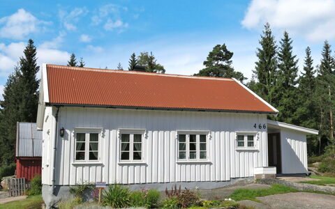 Øygårdsheia: Plante, Sky, Himmel, Vindue, Ejendom, Træ, Bygning, Hus, Land Lot, Træ