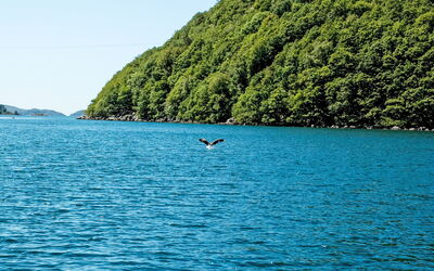 Espeøya