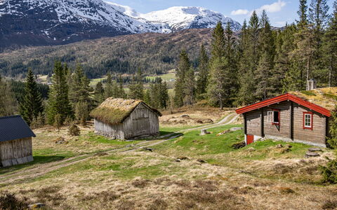 Fjellbris: Bjergrige Landskabsformer, Græs, Bjerg, Bakke, Naturlige Landskab, Græs-, Highland, Hus, Landskab