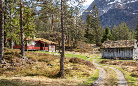 Fjellbris: Græs, Bjergrige Landskabsformer, Bjerg, Naturlige Landskab, Hus, Highland, Bakke, Sommerhus, Landskab