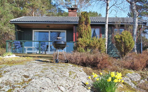 Hjartnesvika: Plante, Bygning, Vindue, Ejendom, Plantesamfund, Himmel, Botanik, Natur, Blomst, Træ