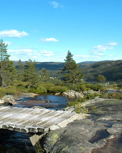 Knøttebu
