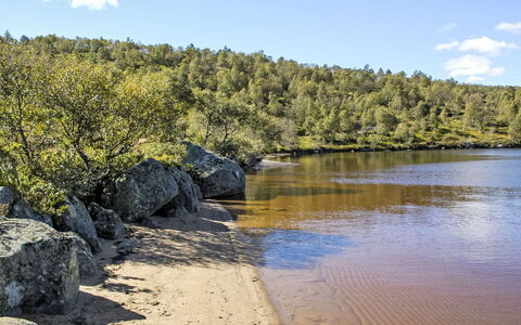Evabu: Vandressourcer, Vand, Krop Af Vand, Natur, Naturligt Miljø, Naturlige Landskab, Vandløb, Bank, Vandvej, Sommer