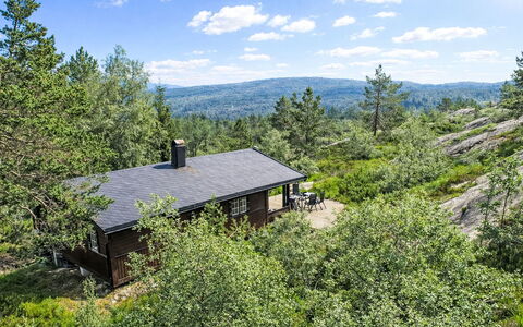 Fjellidyll: Vegetationen, Busk, Landskab, Plantesamfund, Land Lot, Landdistrikt, Sommerhus, Skov, Bunddække, Hældning