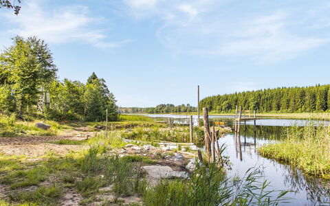 Enerhögen Lingonet: Himmel, Bjerg, Daytime, Bygning, Plante, Naturlige Landskab, Hus, Vegetationen, Highland, Træ