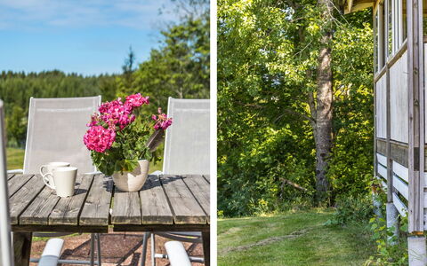 Enerhögen Lingonet: Himmel, Bjerg, Daytime, Bygning, Plante, Naturlige Landskab, Hus, Vegetationen, Highland, Træ