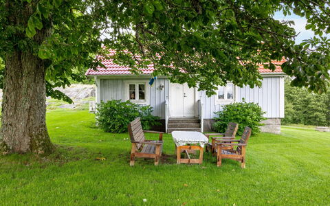 Hökagården: Plante, Møbel, Ejendom, Bygning, Træ, Natur, Vindue, Hus, Land Lot, Vegetationen