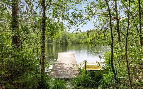 Hökagården: Vand, Plante, Plantesamfund, Naturlige Landskab, Træ, Træ, Vandløb, Bagagerum