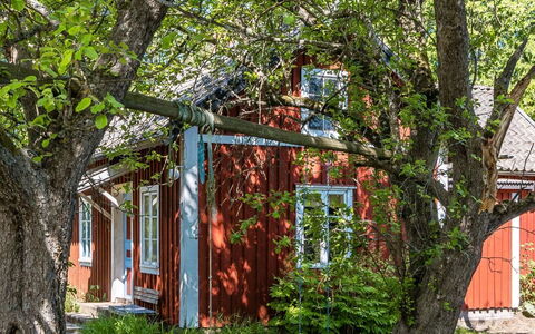 Ebbabolet: Plante, Træ, Bygning, Afdeling, Vindue, Land Lot, Naturlige Landskab, Bagagerum, Skygge, Sommerhus