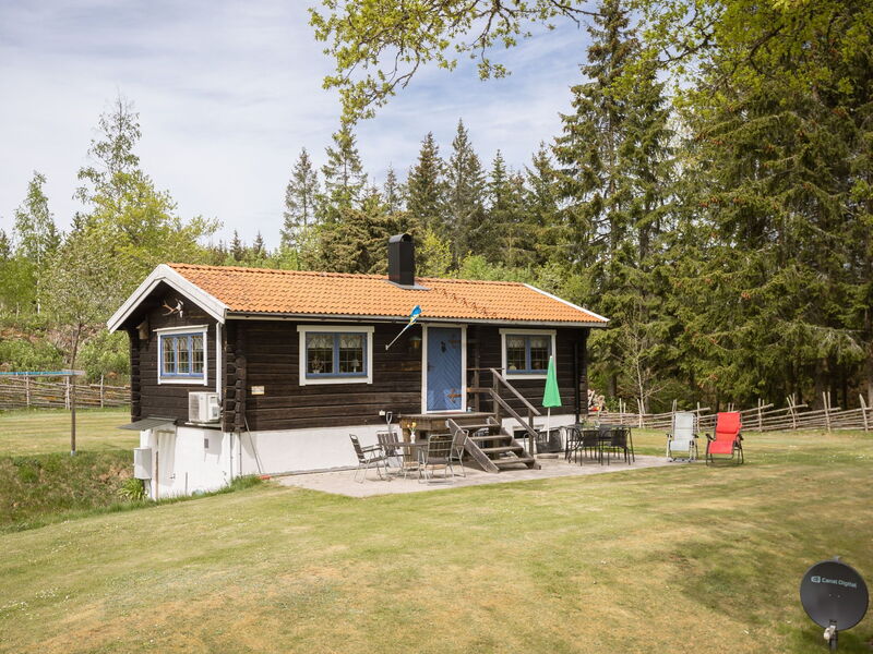 Bunn Lappland (Snd116)