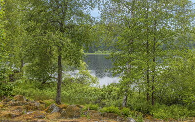Forneboda