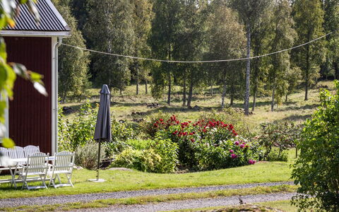 Långban: Plante, Plantesamfund, Naturlige Landskab, Blomst, Træ, Land Lot, Græs, Fritid, Vedplante, Bunddække