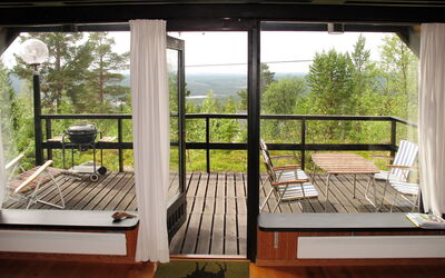 Lofsdalen Fjällbjörken