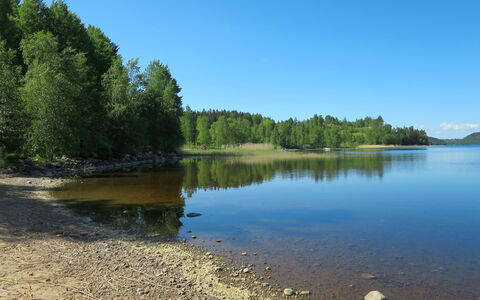 Måbäcken: Vand, Himmel, Naturlige Landskab, Plante, Sø, Træ, Vandløb, Bank