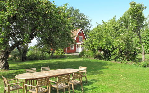 Ilandet: Plante, Bord, Himmel, Udendørs Bench, Blad, Natur, Naturlige Landskab, Træ, Picnic Bord, Vegetationen