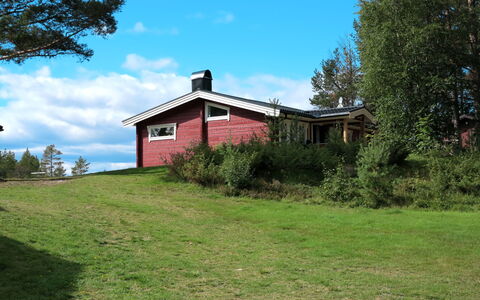 Kvisthån Idegranen: Sky, Himmel, Plante, Bygning, Træ, Naturlige Landskab, Hus, Sommerhus, Græs, Træ