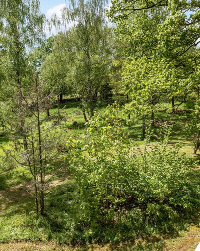 Rödmossa Femton
