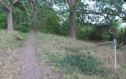 Stegeborg Norrkrog: Plante, Plantesamfund, Træ, Naturlige Landskab, Land Lot, Græs, Biome, Busk, Bunddække, Terrestrisk Plant