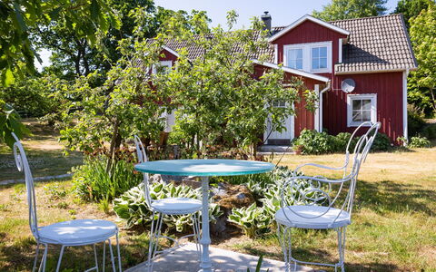 Matvik: Plante, Bygning, Møbel, Bord, Ejendom, Himmel, Natur, Botanik, Træ, Naturlige Landskab