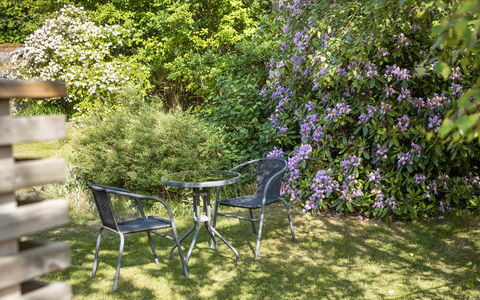 Ringsegård Höjden: Plante, Plantesamfund, Blomst, Bord, Botanik, Naturlige Landskab, Udendørs Møbler, Træ, Vegetationen, Udendørs Bord