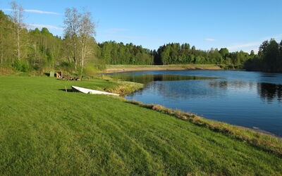 Höje