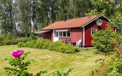 Gapern: Plante, Bygning, Ejendom, Blomst, Vindue, Naturlige Landskab, Træ, Hus, Land Lot, Græs