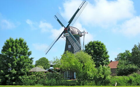 Sielmühle: Himmel, Sky, Plante, Træ, Naturligt Miljø, Naturlige Landskab, Vindue