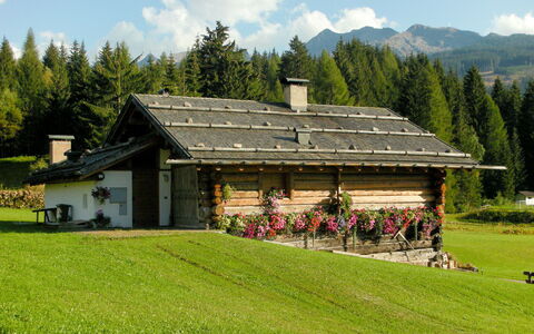 Chalet Baita Tabià Dolomites: Ejendom, Hus, Naturlige Landskab, Græs, Hjem, Græs-, Stuehus, Bjergkæde, Alps, Bygning