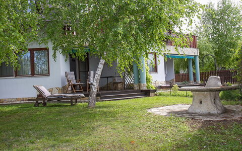 Polgar: Plante, Ejendom, Bygning, Vindue, Natur, Blad, Skygge, Træ, Udendørs Bench, Land Lot